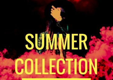 VA Summer Collection, Vol. 2 [OneBigFamily Records]