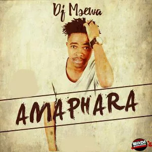 DJ Msewa - Amaphara (Main Mix)