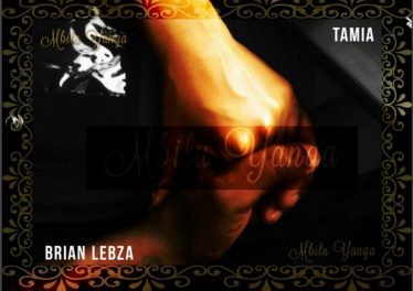 Brian'Lebza, Tamia - Mbilu Yanga (Original Mix)