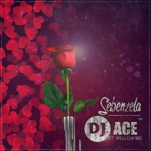 DJ Ace - Sebenzela feat. Mellow Bee