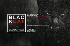 Jaguar Paw - Black Cat (Original Mix)