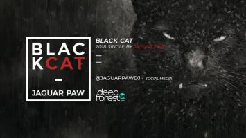 Jaguar Paw - Black Cat (Original Mix)