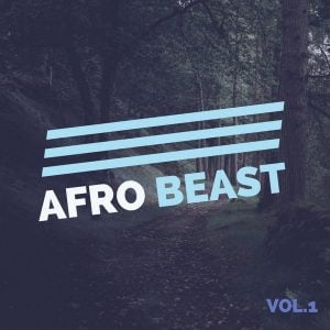 VA - Afro Beast Vol. 1 | MCT Luxury