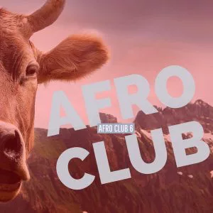 VA - Afro Club 6