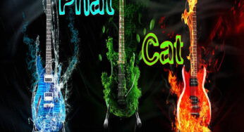 DJ Phat Cat – Way Up EP