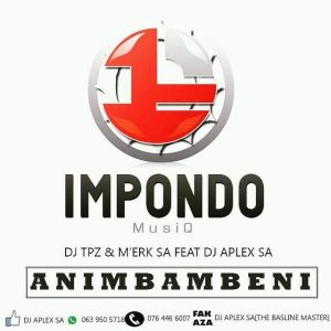 DJ Tpz & M’erk SA - Animbambeni feat. DJ Aplex SA