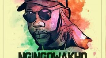 Thulasizwe feat. 2Point1 – Ngingowakho