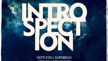 DJ Flaton Fox - Amphibian (Original Mix)