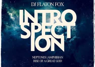 DJ Flaton Fox - Amphibian (Original Mix)