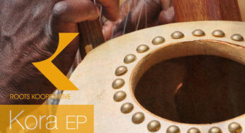 Afrikan Roots, DJ Buckz – Kora (Vinyl Version)
