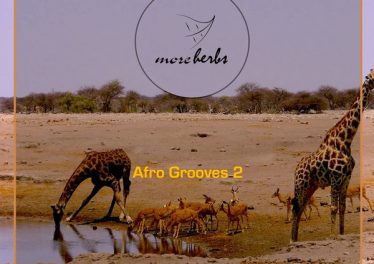VA Afro Grooves 2