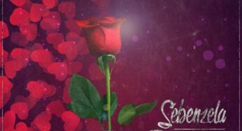 DJ Ace – Sebenzela