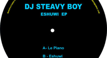 DJ Steavy Boy – Le Piano (Original Mix)