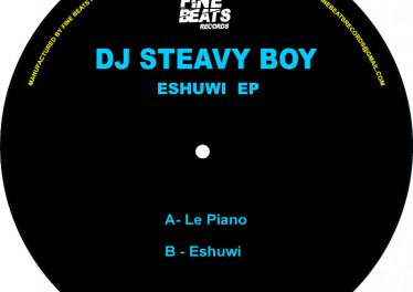 DJ Steavy Boy - Le Piano (Original Mix)