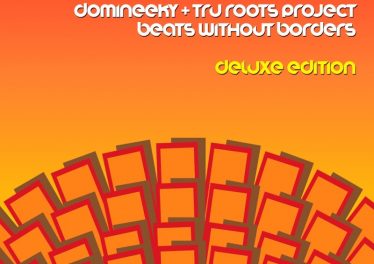 Domineeky & Tru Roots Project - Soweto Groove (Original Mix)