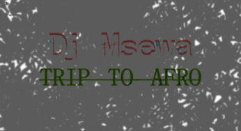 Dj Msewa – Trip To Afro (Original Mix)