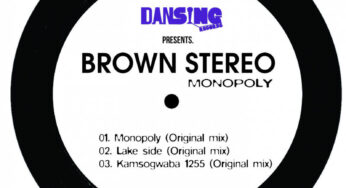 Brown Stereo feat. DJ Steavy Boy – Kamsogwaba 1255 (Original Mix)