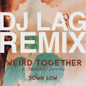 Weird Together - Down Low (DJ Lag Remix Extended) (feat. Moonchild Sanelly)