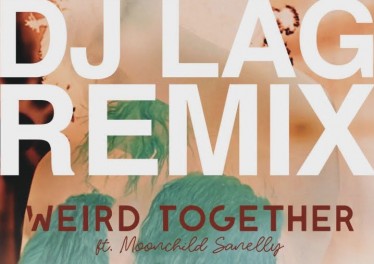 Weird Together - Down Low (DJ Lag Remix Extended) (feat. Moonchild Sanelly)