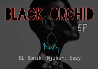 Eazy, El Sonik & Mjibar - Black Orchid-Dark City (Original Mix)