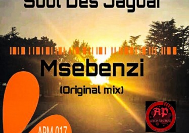Soul Des Jaguar - Msebenzi (Original Mix)