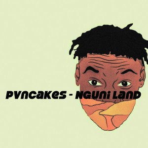 PvnCakes - Nguni Land PvnCakes - Nguni Land. latest house music, deep house tracks, house music download, club music, afro house music