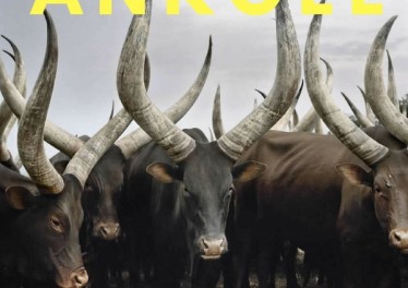 Lemon & Herb - Ankole