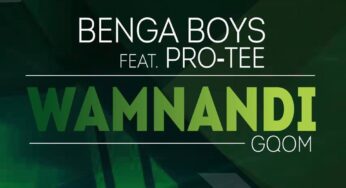Benga Boys feat. Pro-Tee – Wamnandi