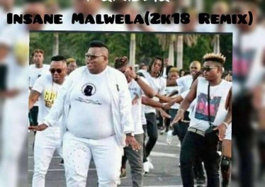 Dladla Mshunqisi, Dj Tira & Distruction Boyz - Pakisha (Insane Malwela 2k18 Remix)