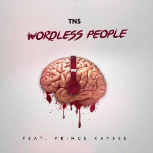 TNS feat. Prince Kaybee - Wordless People. new house music 2018, afro beat, datafilehost house music, mzansi house music downloads, south african deep house, latest south african house