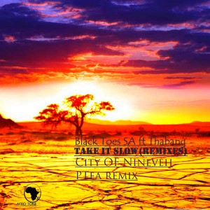 Black Toes SA - Take It slow (feat Thabang) (City Of Nineveh Remix)