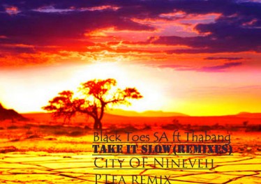 Black Toes SA - Take It slow (feat Thabang) (City Of Nineveh Remix)