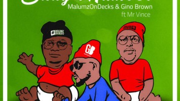 Malumz on Decks & Gino Brown - Shay'inumber (feat. Mr Vince). best afro house, new afro house 2018, latest sa afro house music