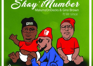 Malumz on Decks & Gino Brown - Shay'inumber (feat. Mr Vince). best afro house, new afro house 2018, latest sa afro house music