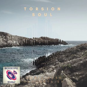 Torsion Soul - Conflict3D Thoughts EP