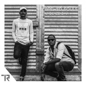 Brewed Souls - Undenzeni Na (Original Vocal Mix