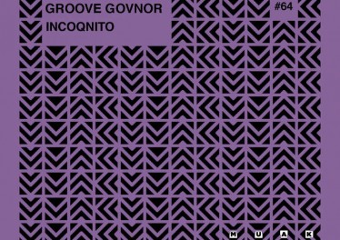 Groove Govnor - Incoqnito (Original Mix)