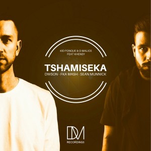 Kid Fonque & D-Malice - Tshamiseka (Sean Munnick Remix)