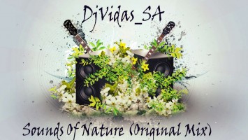 DjVidas SA - Sounds Of Nature (Original Mix)