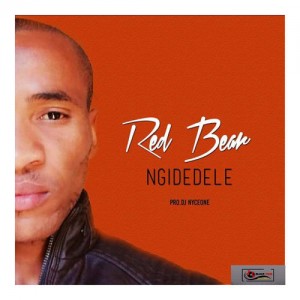 Red Bear - Ngidedele (Original Mix)