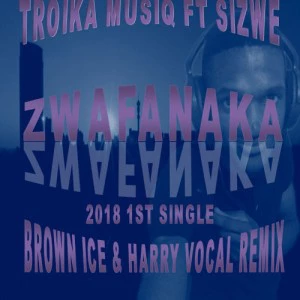 Troika Musiq feat. Sizwe - Zwafanaka (Brown Ice & Harry Remix)