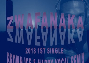 Troika Musiq feat. Sizwe - Zwafanaka (Brown Ice & Harry Remix)