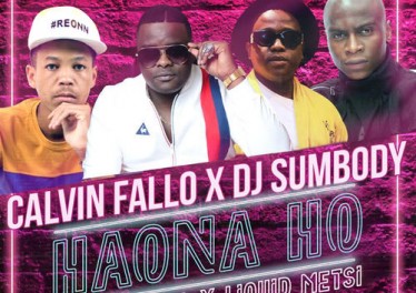 Calvin Fallo & DJ Sumbody - Haona Ho (feat. Liquid Metsi & Carpo)