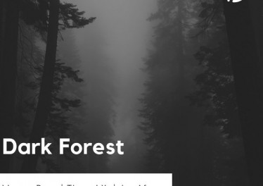 Warren Deep & Thexy LX - Dark Forest (feat. Jay Afro). New house music, deep house tracks, house music download, afro house music, afro deep house, tribal house music, best house music, african house music