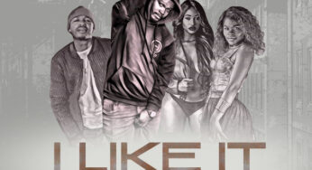 Dj Active – I Like It (feat. Emza, Mpumi & Zola Nombona)