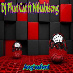 DJ Phat Cat - Ang'safuni (feat. Nthabiseng), latest house music, deep house tracks, house music download, south african afro house songs, afro house music, afro deep house, tribal house music, best house music, african house music