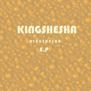 Dj Pelco & Kingshesha feat. Terrorist - Singenile Nge Gqom - Latest gqom music, gqom tracks, gqom music download, club music, afro house music, mp3 download gqom music