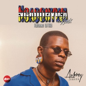 Aubrey Qwana feat. DJ Tira - Ngaqonywa (Remix), afro beat, afro house 2018 download south african