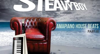 DJ Steavy Boy – Amapiano House Beats Part 3