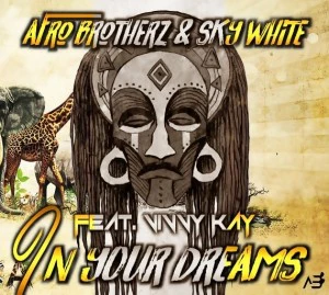 Afro Brotherz & Sky White - In Your Dreams (feat. Vinny Kay), afro house 2018 download, south african house music, new sa afro house, latest afro deep house